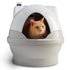 GenieDome on CatGenie